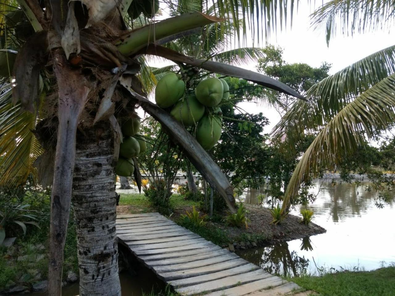 Residencial Lagoa Da Praia Alcobaça Екстериор снимка